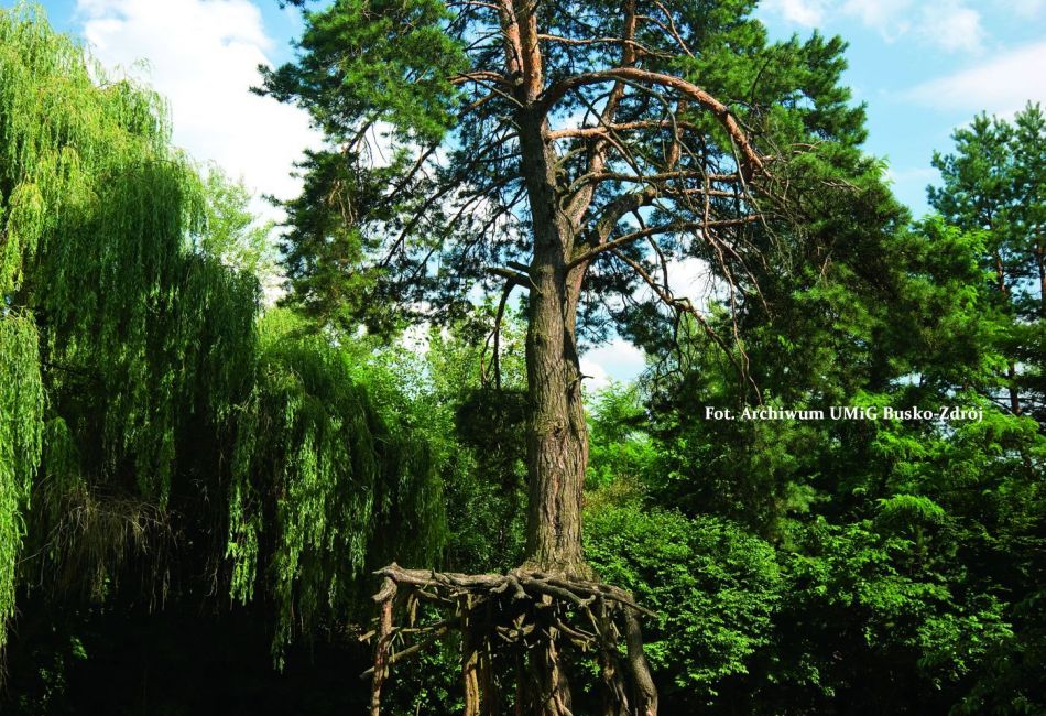 Okolice Buska-Zdroju